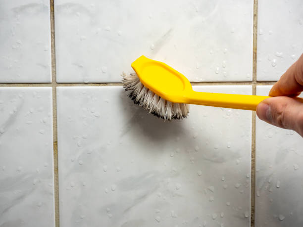 Best Same-Day Mold Removal  in Remgton, IN
