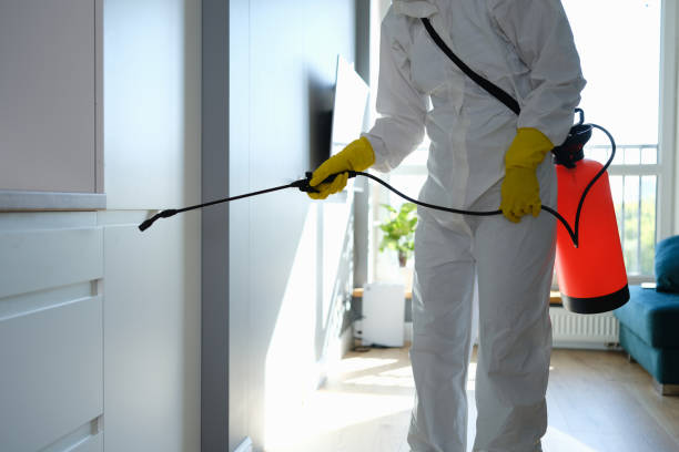 Home Mold Removal in Remington, IN