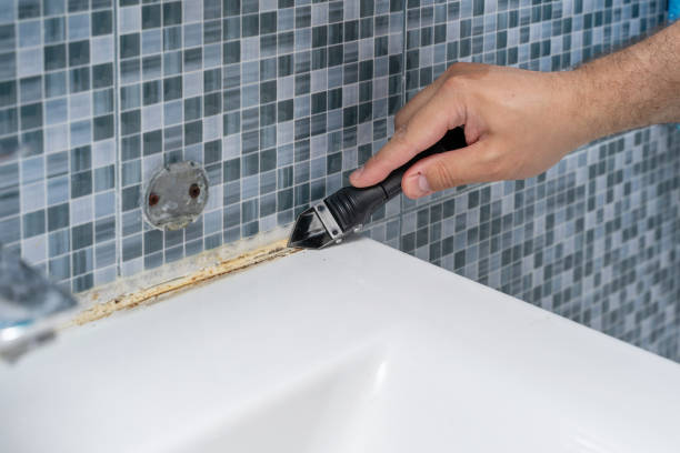 Best Mold Testing  in Remgton, IN
