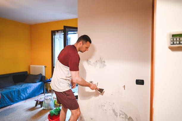 Best Professional Mold Removal  in Remgton, IN